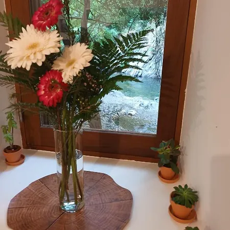 別荘 Moinho Fragas フィゲイロー・ドス・ヴィーニョス