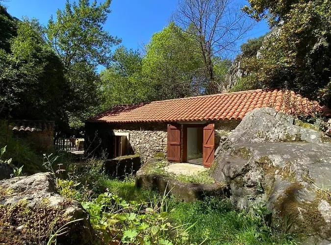 Dom wakacyjny Moinho Fragas Figueiro Dos Vinhos