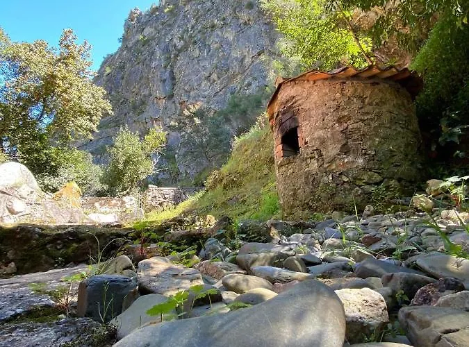 Moinho Fragas * Figueiro Dos Vinhos
