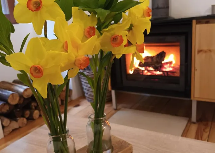 Dom wakacyjny Moinho Fragas *